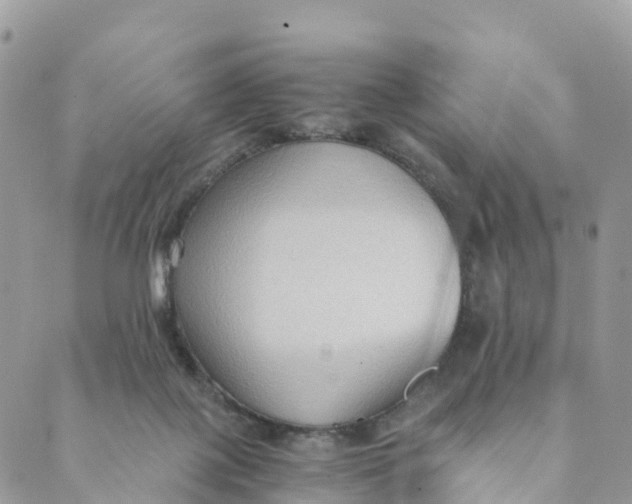 X0000089370075200707061124