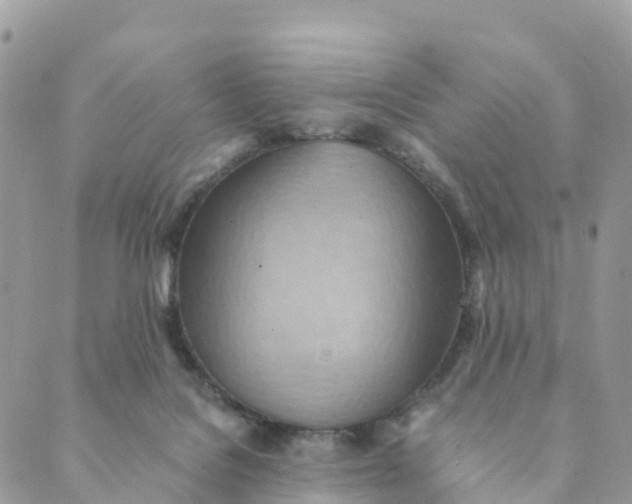 X0000089370076200707061124