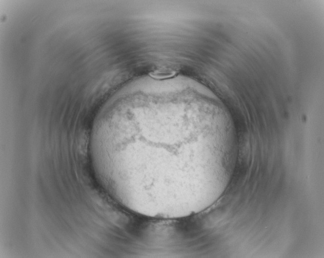 X0000089370078200707061125