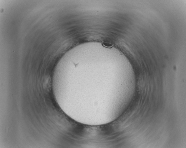 X0000089370079200707061125