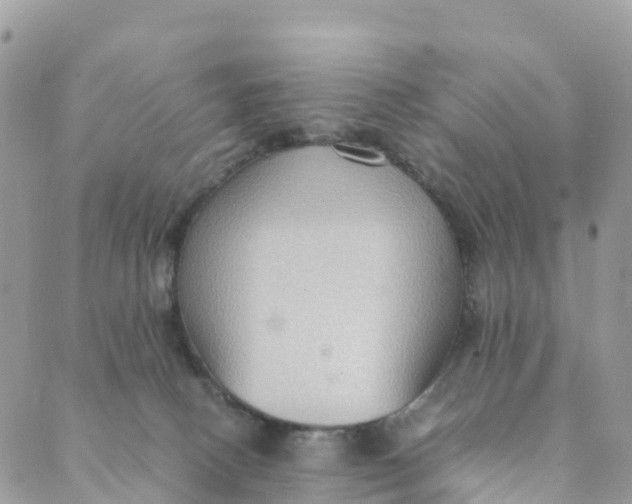 X0000089370082200707061125