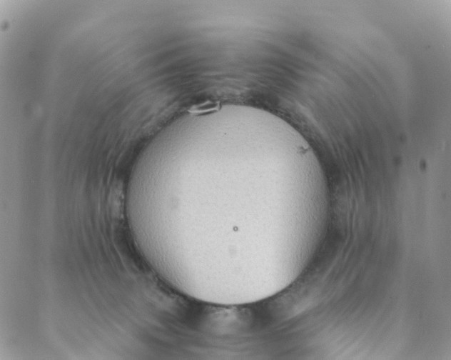 X0000089370083200707061125