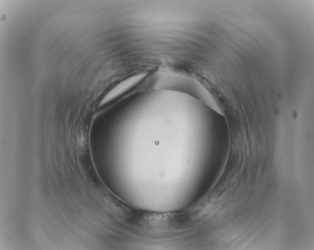 X0000089370084200707061125