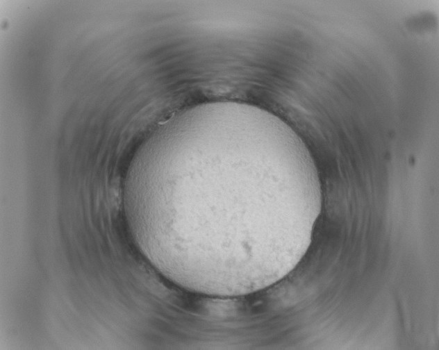 X0000089370085200707061125