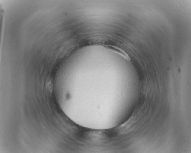 X0000089370086200707061125