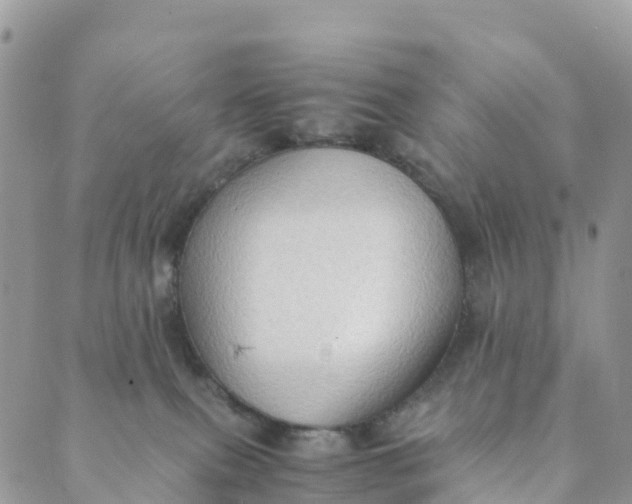 X0000089370087200707061125