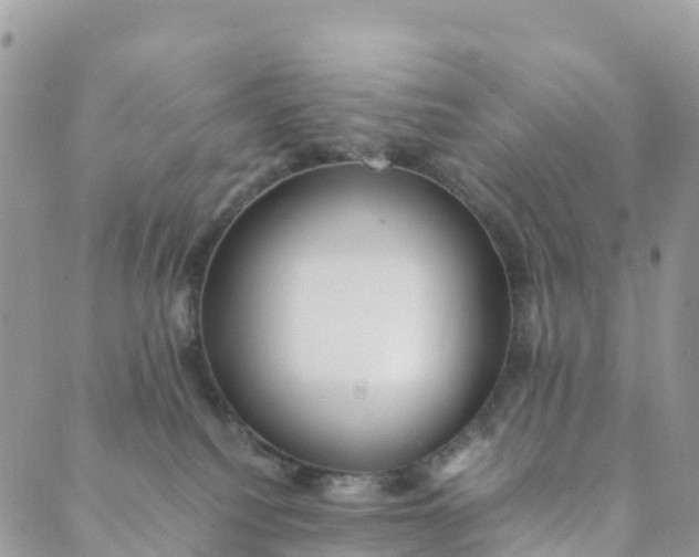 X0000089370088200707061125