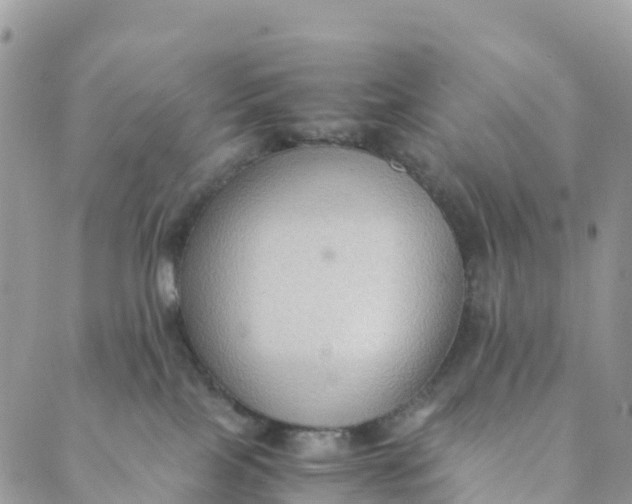 X0000089370089200707061125