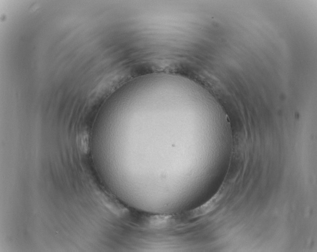 X0000089370090200707061125