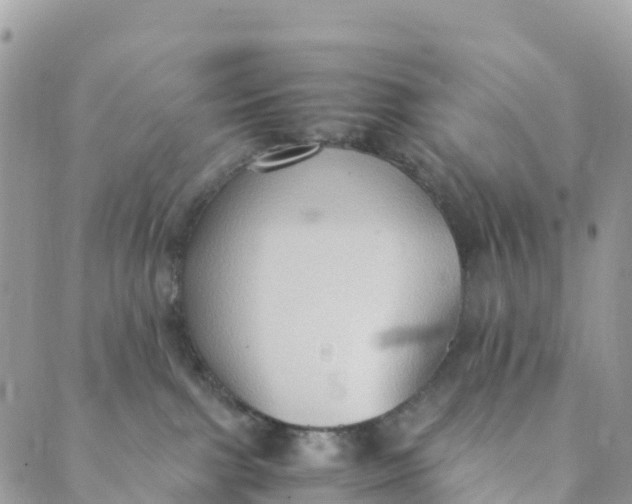 X0000089370091200707061125