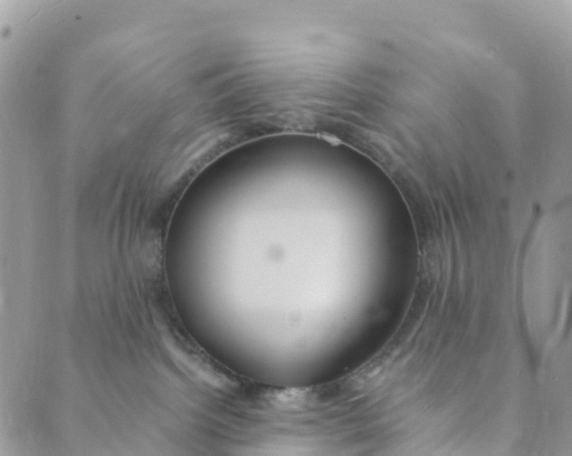 X0000089370092200707061125