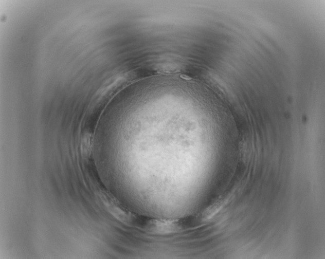 X0000089370093200707061125