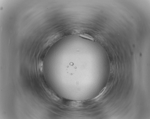 X0000089370094200707061125