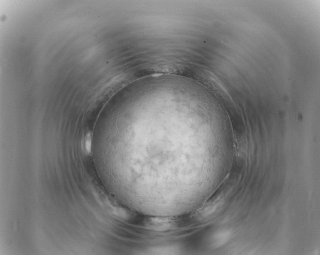 X0000089370095200707061125