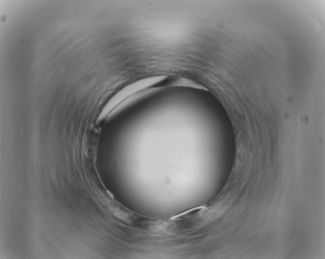 X0000089370096200707061125