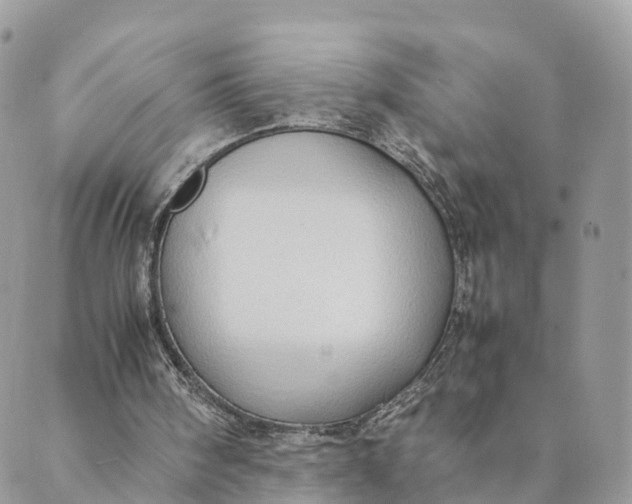 X0000089370098200707061124