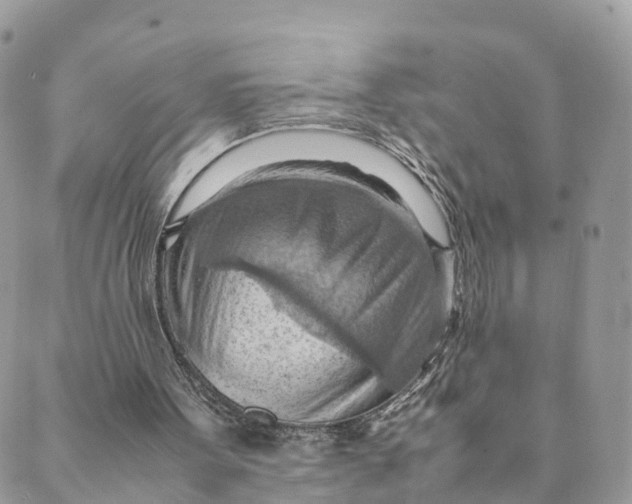 X0000089370099200707061124