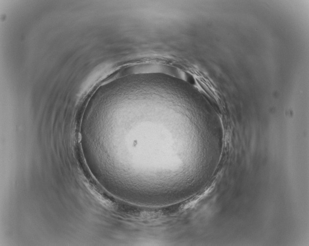 X0000089370101200707061124