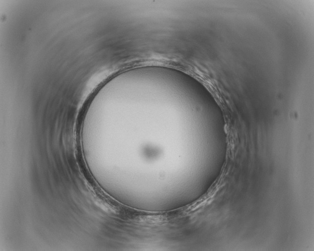 X0000089370102200707061124