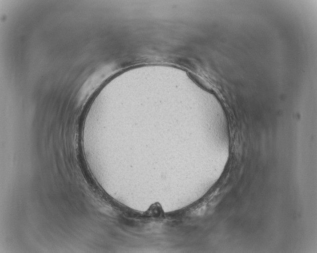 X0000089370103200707061124