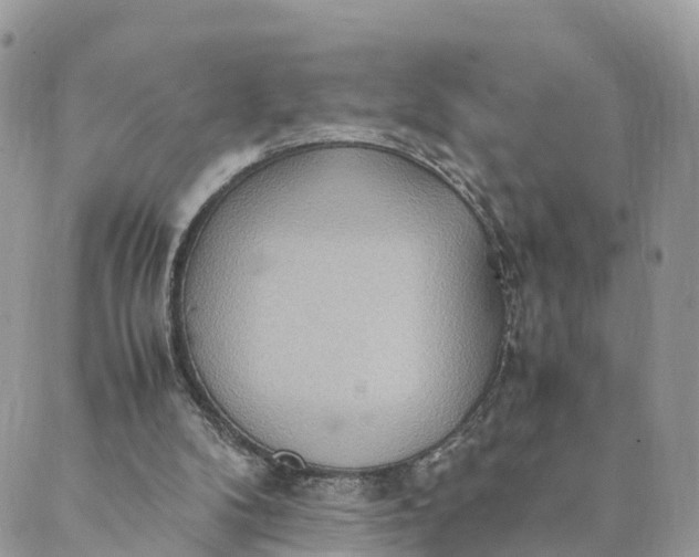 X0000089370104200707061124