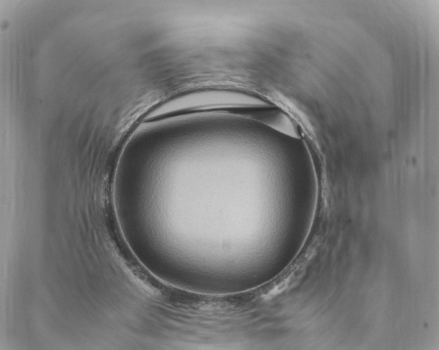 X0000089370105200707061124