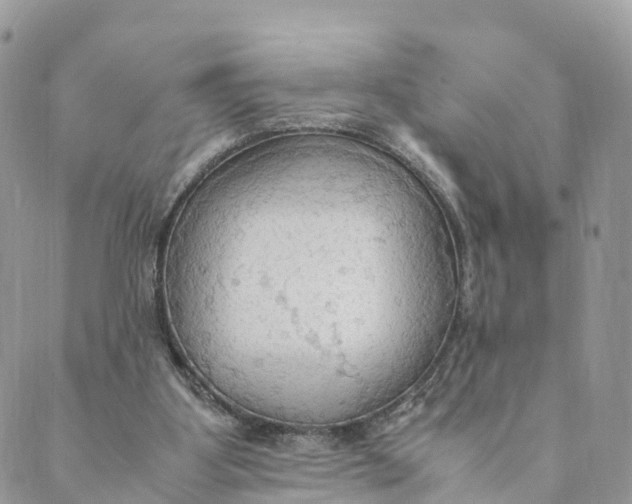 X0000089370107200707061124