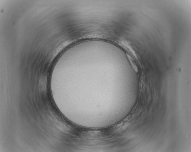 X0000089370108200707061124