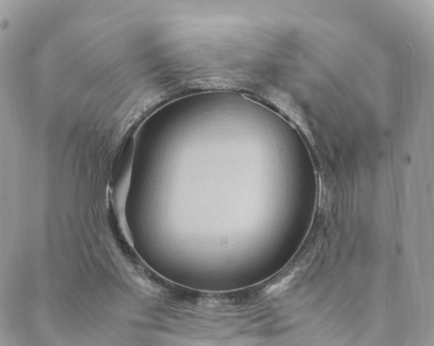 X0000089370109200707061124