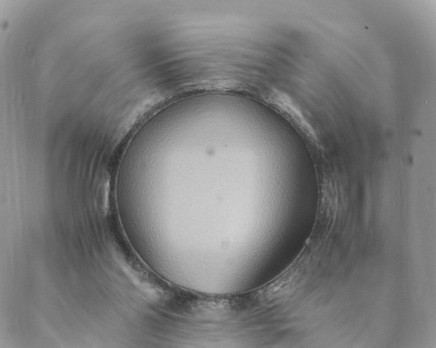 X0000089370110200707061124