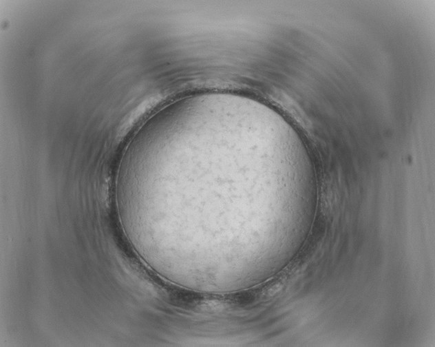 X0000089370111200707061124