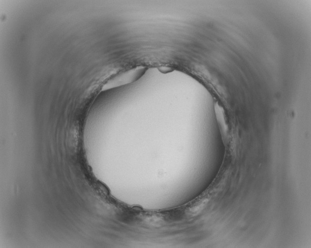 X0000089370113200707061124