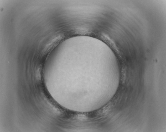 X0000089370114200707061124