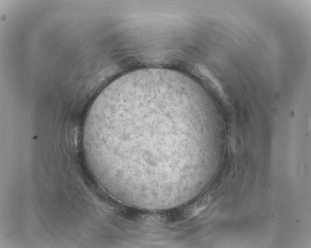 X0000089370115200707061124