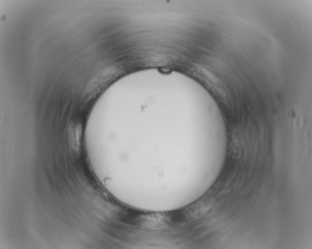 X0000089370118200707061124