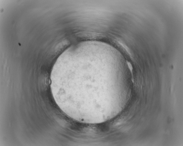 X0000089370119200707061124