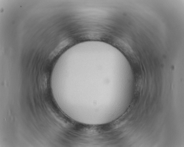 X0000089370120200707061124