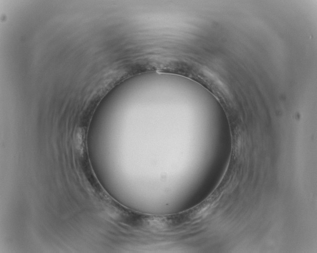 X0000089370121200707061124