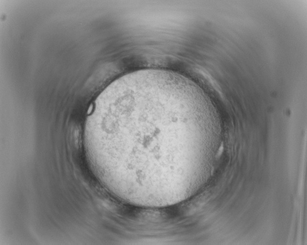 X0000089370123200707061124