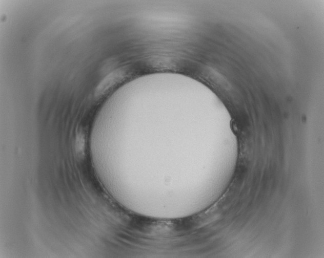 X0000089370124200707061124