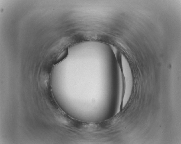 X0000089370125200707061124