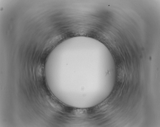 X0000089370126200707061124