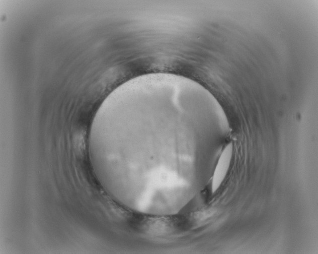 X0000089370127200707061124