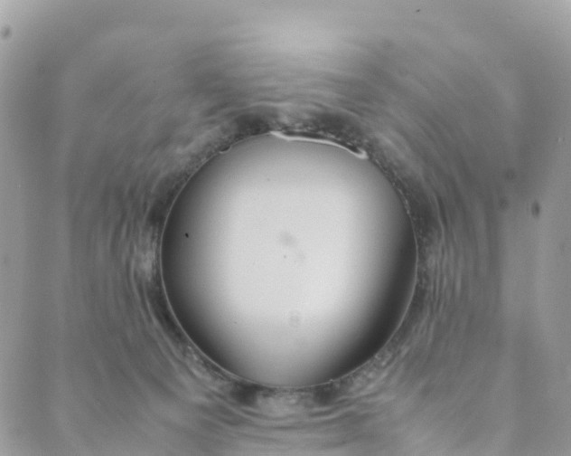 X0000089370129200707061124