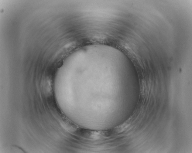 X0000089370130200707061123