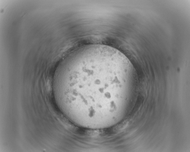 X0000089370131200707061123