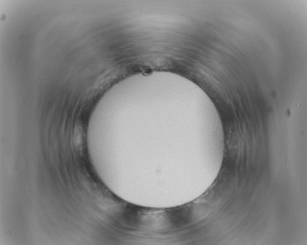 X0000089370132200707061123