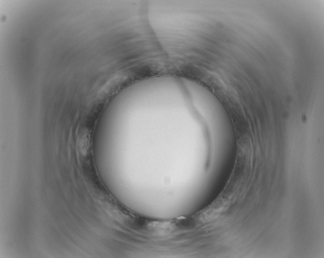 X0000089370133200707061123