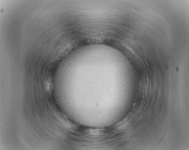 X0000089370134200707061123