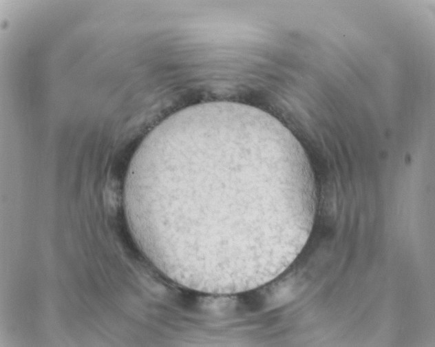 X0000089370135200707061123